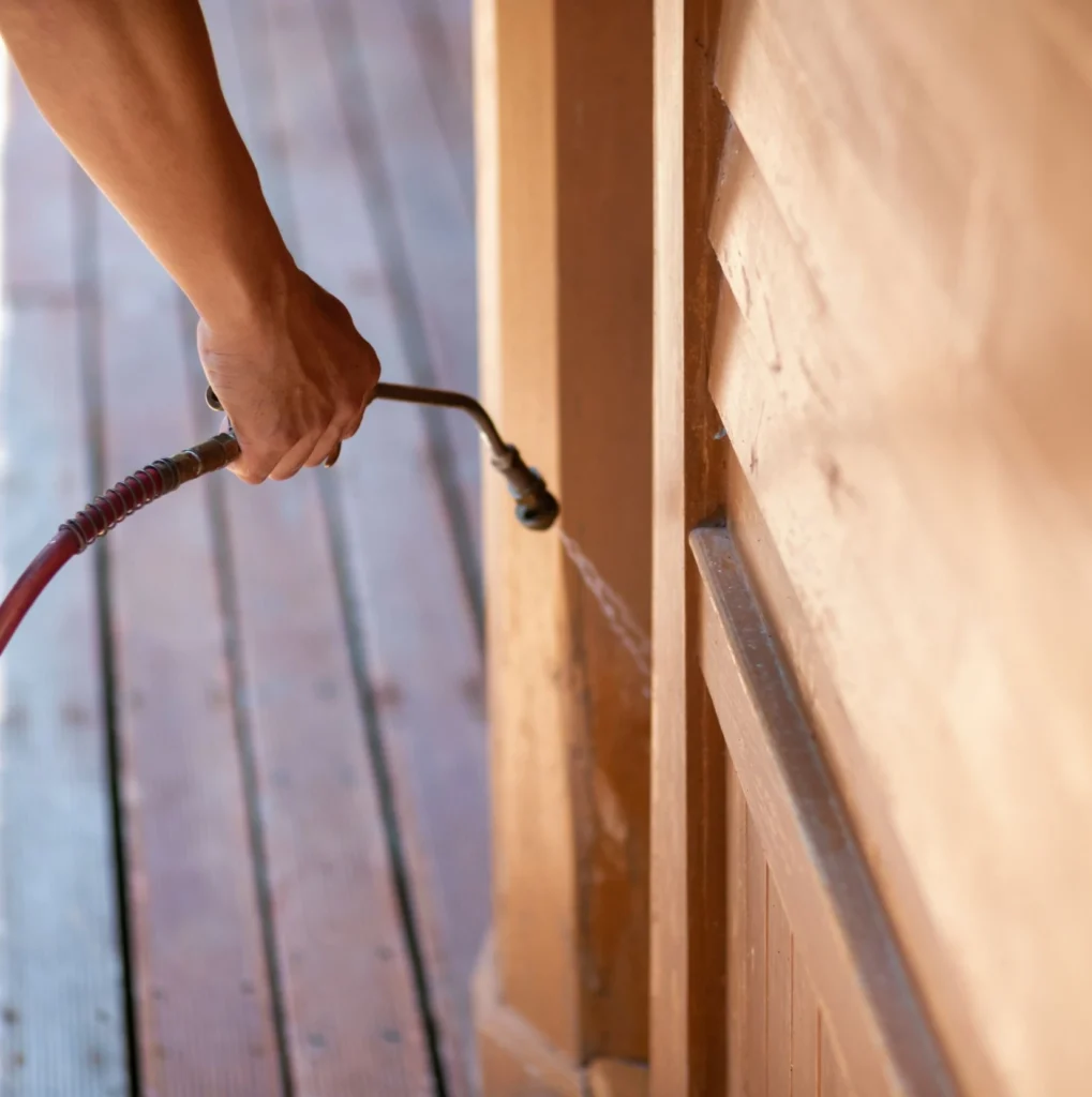 Trusted Pest Control - North Tonawanda Pest Control Pros | North Tonawanda, NY | 716-413-3223